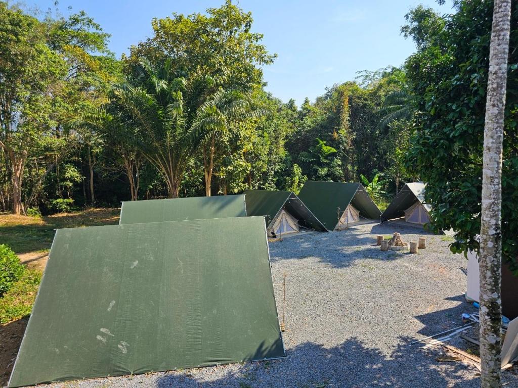 Zahrada ubytování Nahm Khao Sok Hostel and Camping