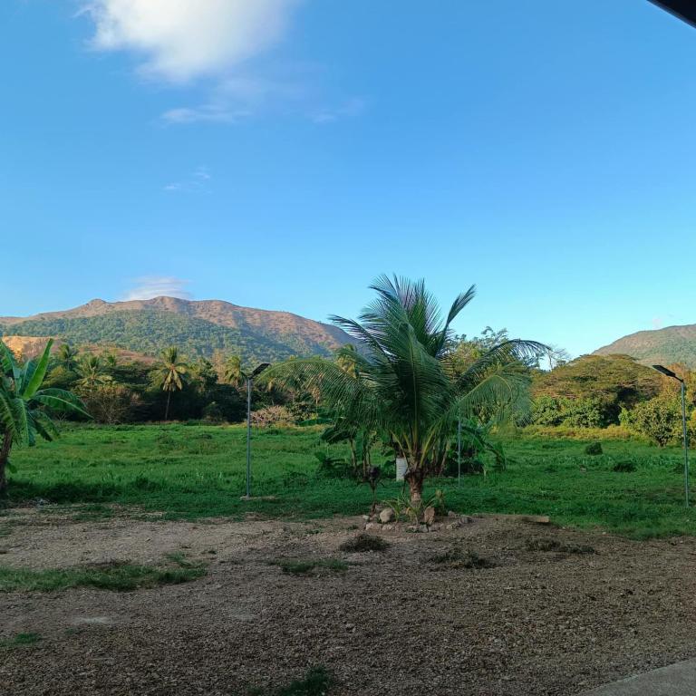山林小屋附近的自然景觀