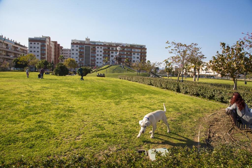 Jardines del Litoral Momas Homes, Málaga – Bijgewerkte ...