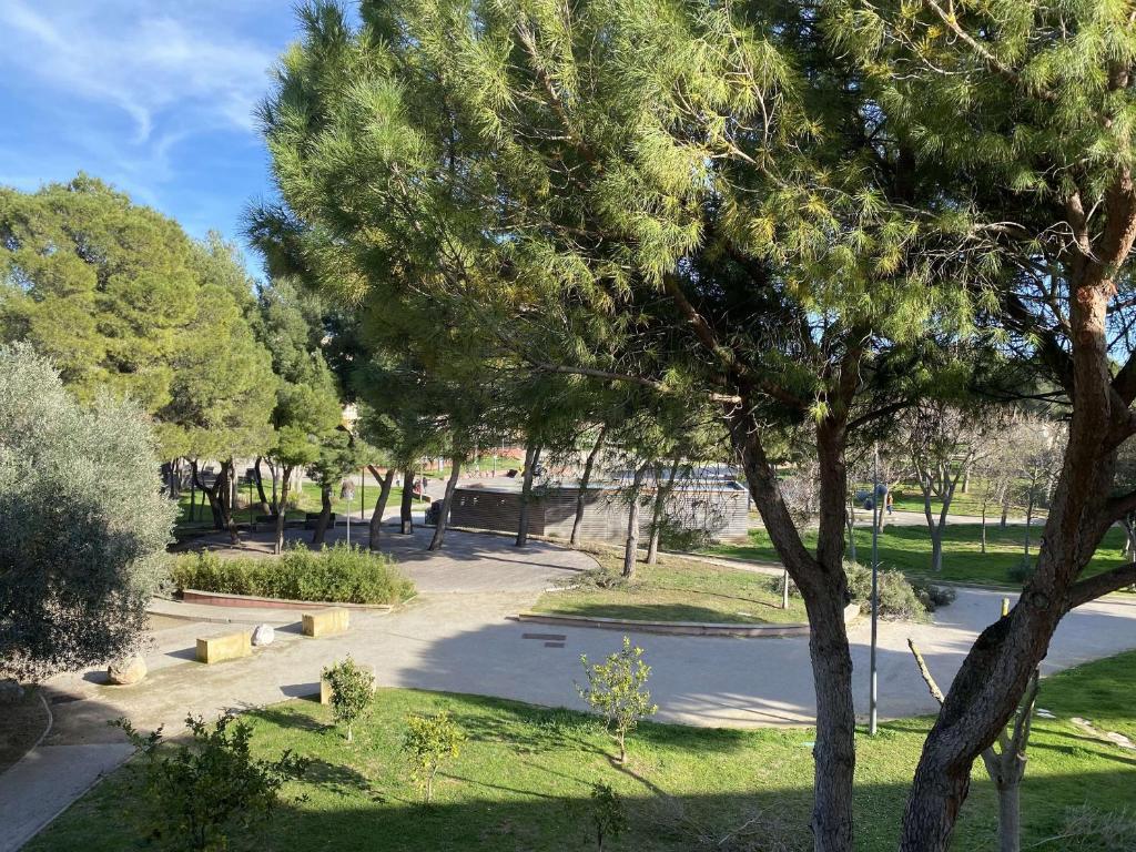 un parc avec un arbre et une route dans l'établissement Studio rénové avec parking et wifi à Balaruc-les-Bains - FR-1-553-113, à Balaruc-les-Bains