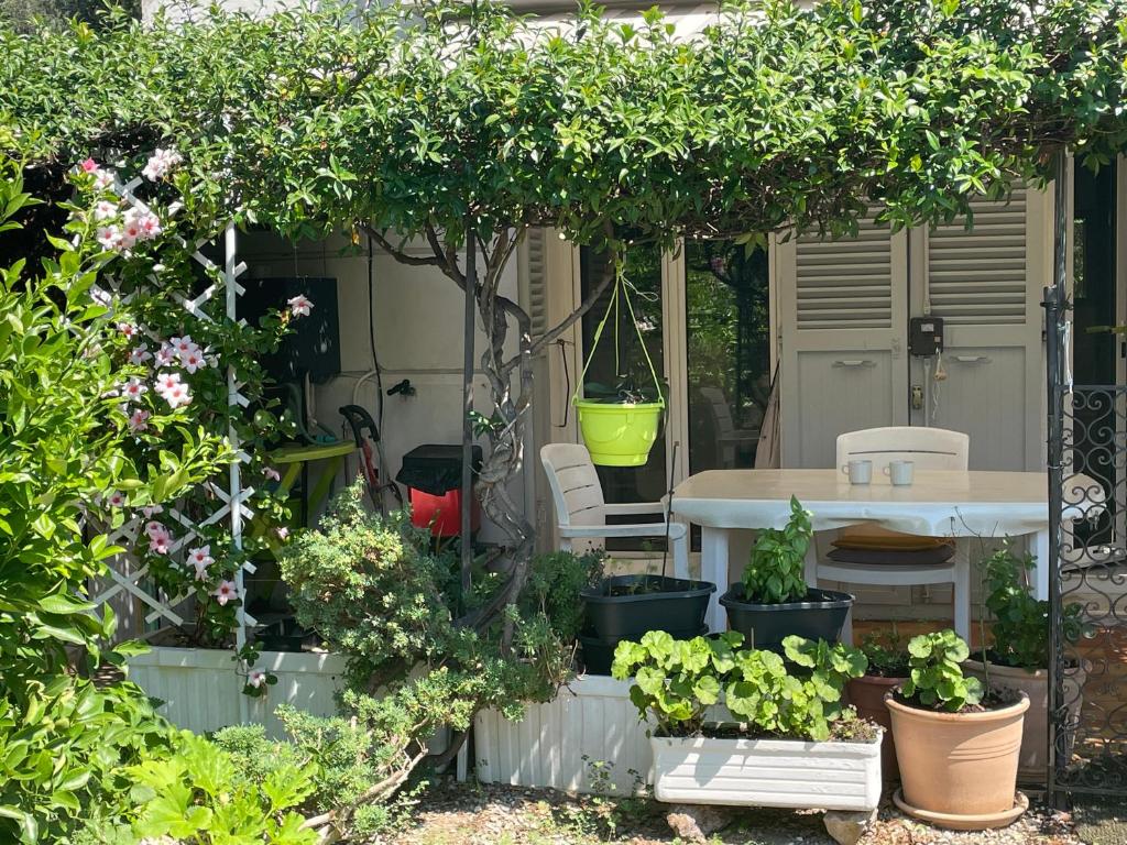 un jardin avec une table, des chaises et des plantes dans l'établissement Climatisé, proche Palais des Festivals et des plages, à Cannes