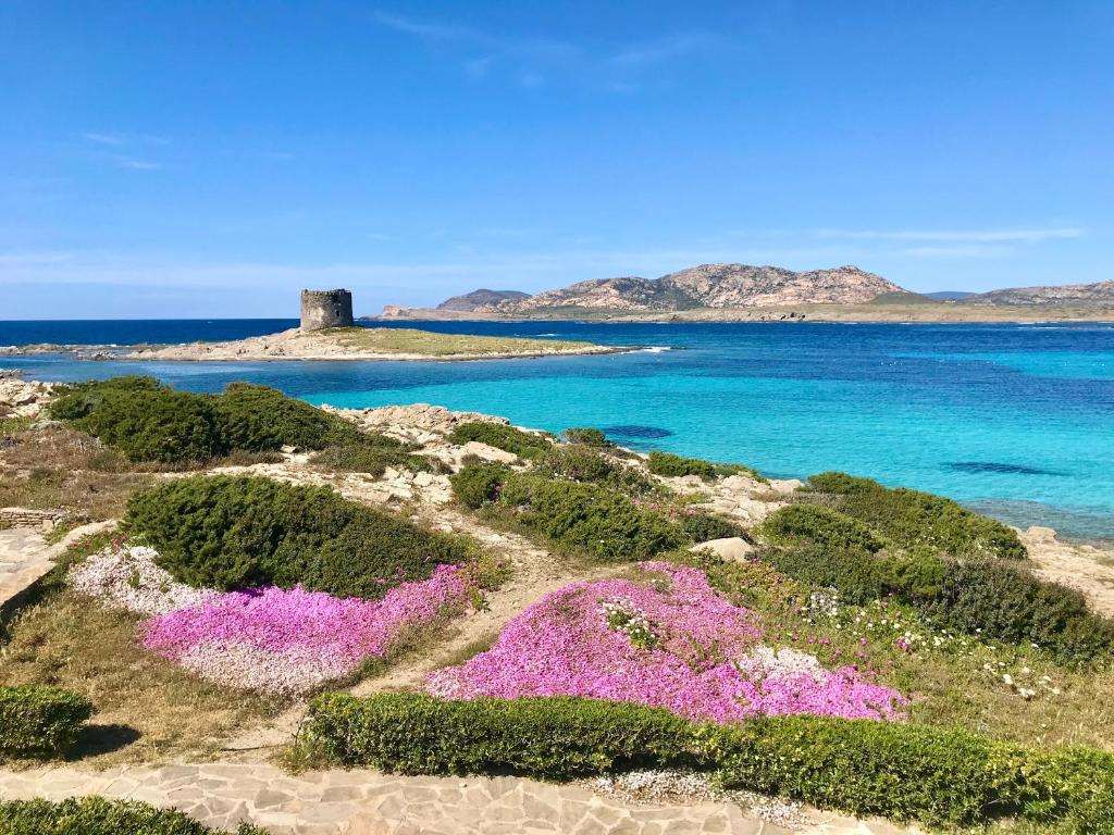 Gallery image of Hotel in Stintino just 50 mt from the sea in Stintino