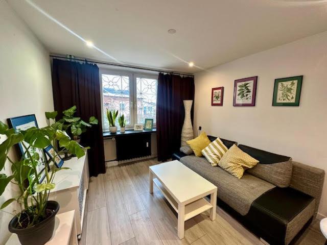 a living room with a couch and a table at Przy Stawikach in Sosnowiec