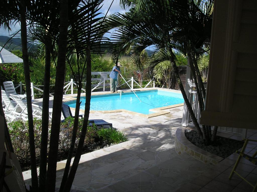 a person standing next to a swimming pool at L'escapade in Sainte-Anne