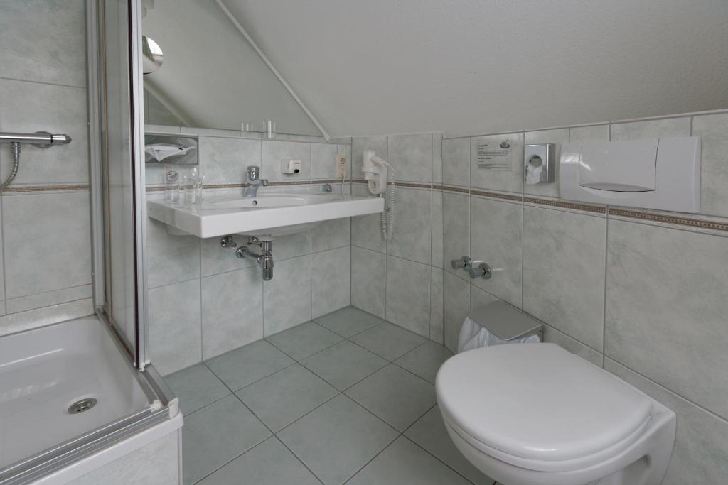 a bathroom with a toilet and a sink at Landgasthof Tönnes in Wipperfürth