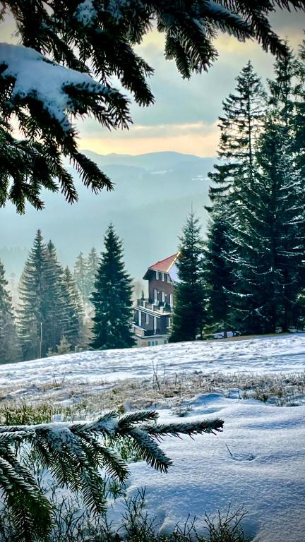 Příroda nedaleko apartmánu