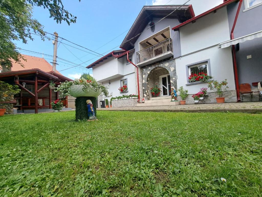 a person standing in a yard in front of a house at Pensiunea Monady in Zărneşti