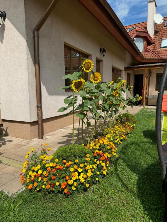 Vonkajšia záhrada v ubytovaní Lutra Montana