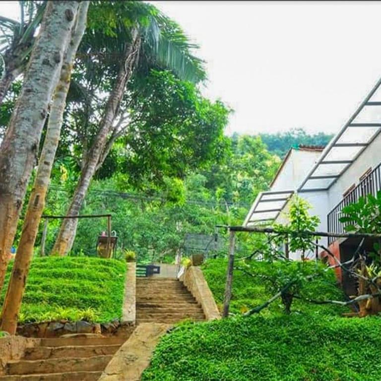 Zahrada ubytování Dhighayu Ayurvedic Wellness Resort