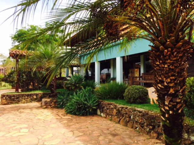 a palm tree in front of a house at Pousada Recanto Das Pedras in Tiradentes