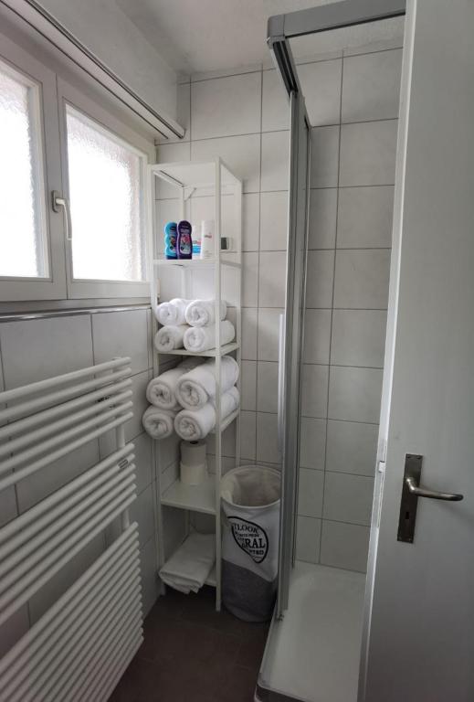 Koupelna v ubytování Casa-Casa Linthal