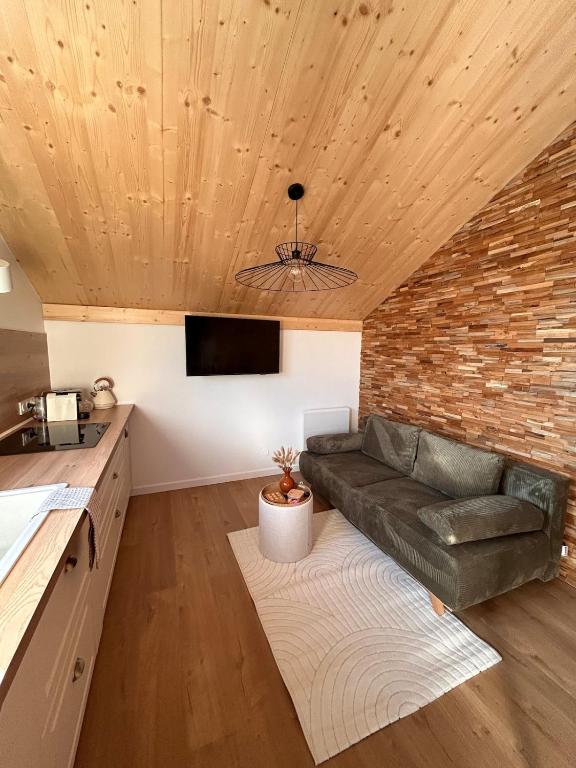 TV a/nebo společenská místnost v ubytování Le Mélèze, chaleureux appartement 4pers près de Genève & Annecy