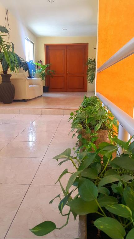 Fotografie z fotogalerie ubytování Hotel El Marques v destinaci Mérida