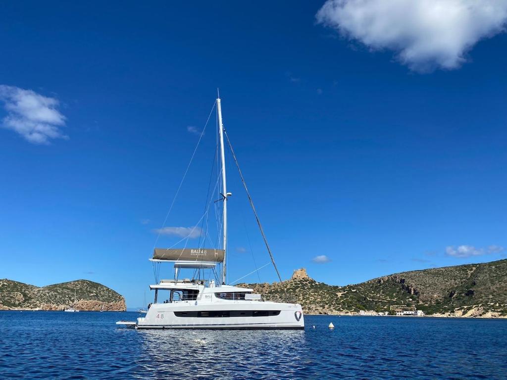 Paesaggio naturale nelle vicinanze delle barche