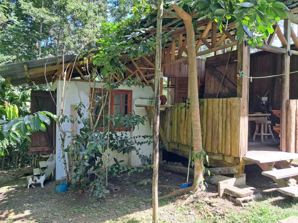 Zahrada ubytování Casa Cacao