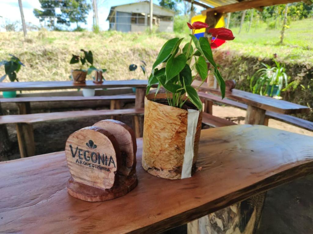 Nápoje v ubytování Finca Vegonia Arqueológica