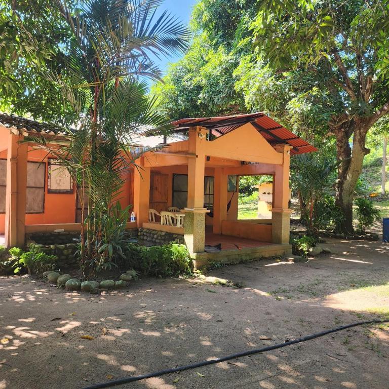 a small house with a palm tree in front of it at CABAñA EDEN in Santa Marta