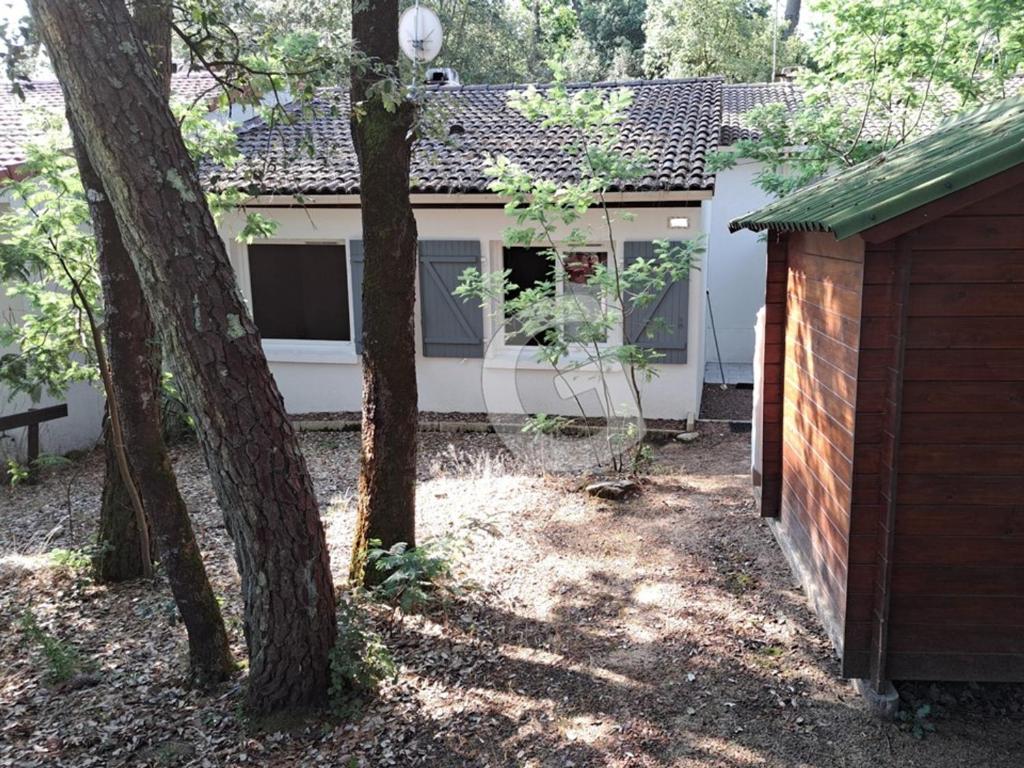 une arrière-cour avec deux arbres et une maison dans l'établissement Pavillon 4 pers au cœur d'un parc à Jard-sur-Mer - FR-1-357-336, à Jard-sur-Mer