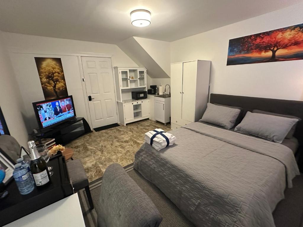 TV a/nebo společenská místnost v ubytování Kenneths Cozy Retreat - Saint John NB - 1BR - Wi-Fi - 4mins to Regional Hospital