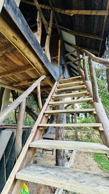 Fotografie z fotogalerie ubytování Sigiri Veenus Paradise v destinaci Sigiriya