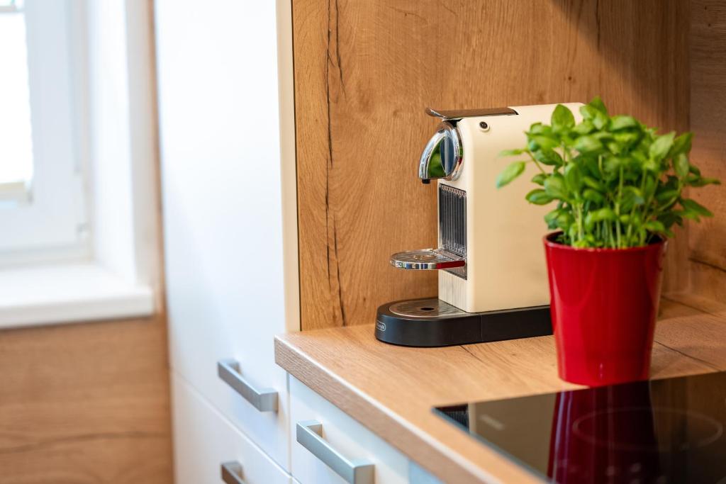 Kuchyň nebo kuchyňský kout v ubytování Appartement Gimpl