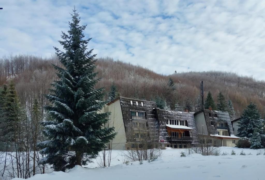 Příroda nedaleko hotelu