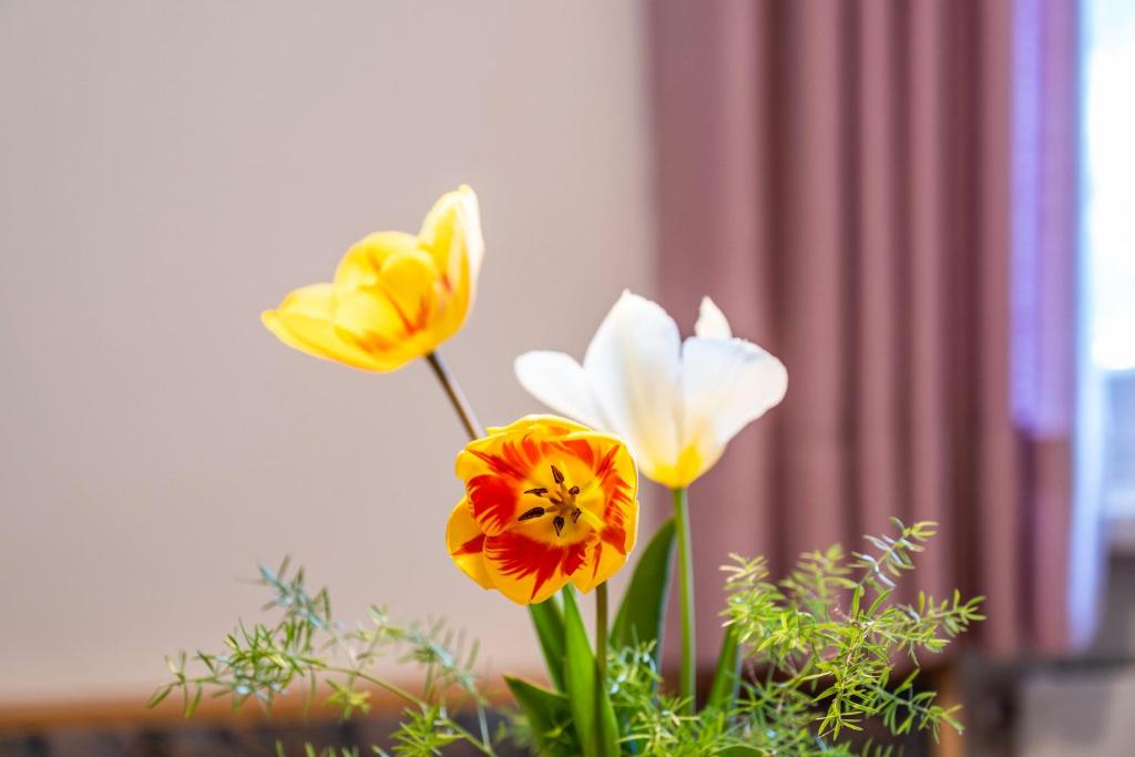 Fotografie z fotogalerie ubytování Valtlhof - Apt 1 v destinaci Cornaiano