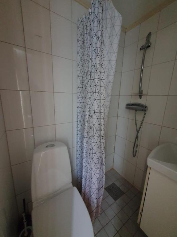 Koupelna v ubytování 5 sovrum 9 bäddar 12 sovplatser