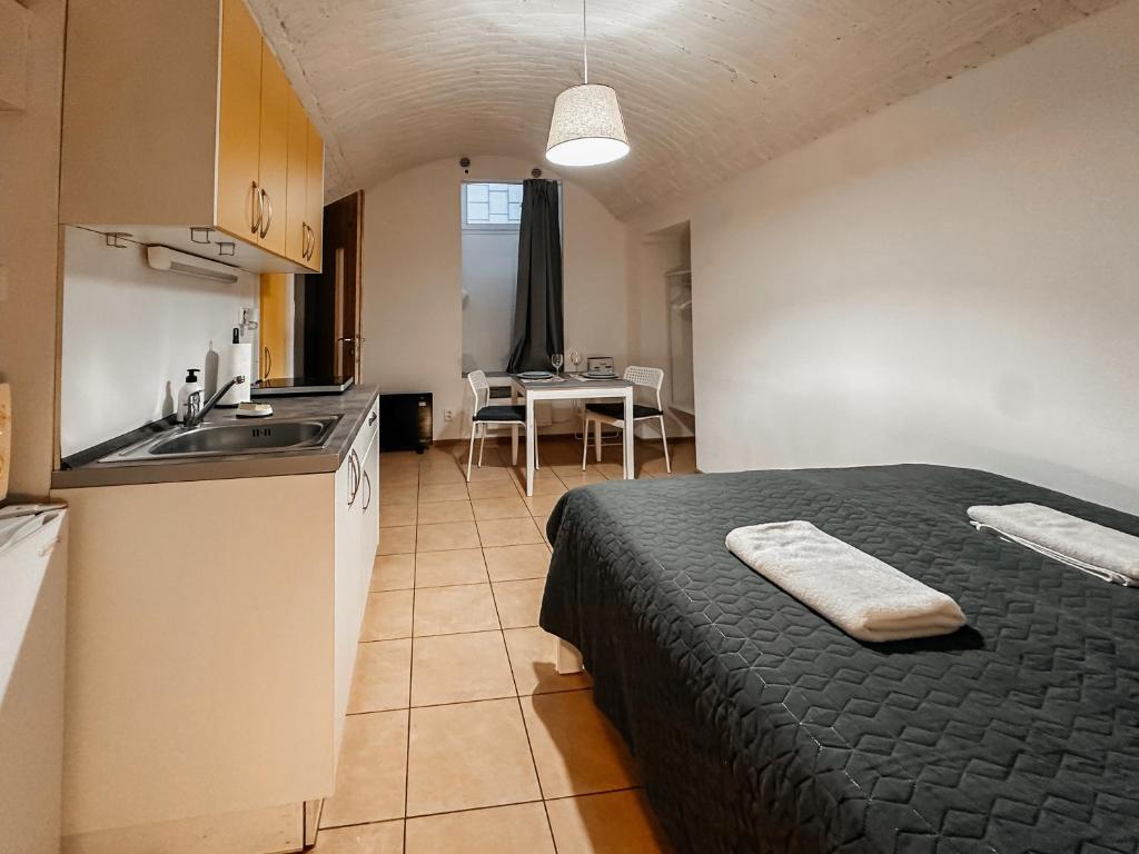 Kuchyň nebo kuchyňský kout v ubytování ELSO apartments