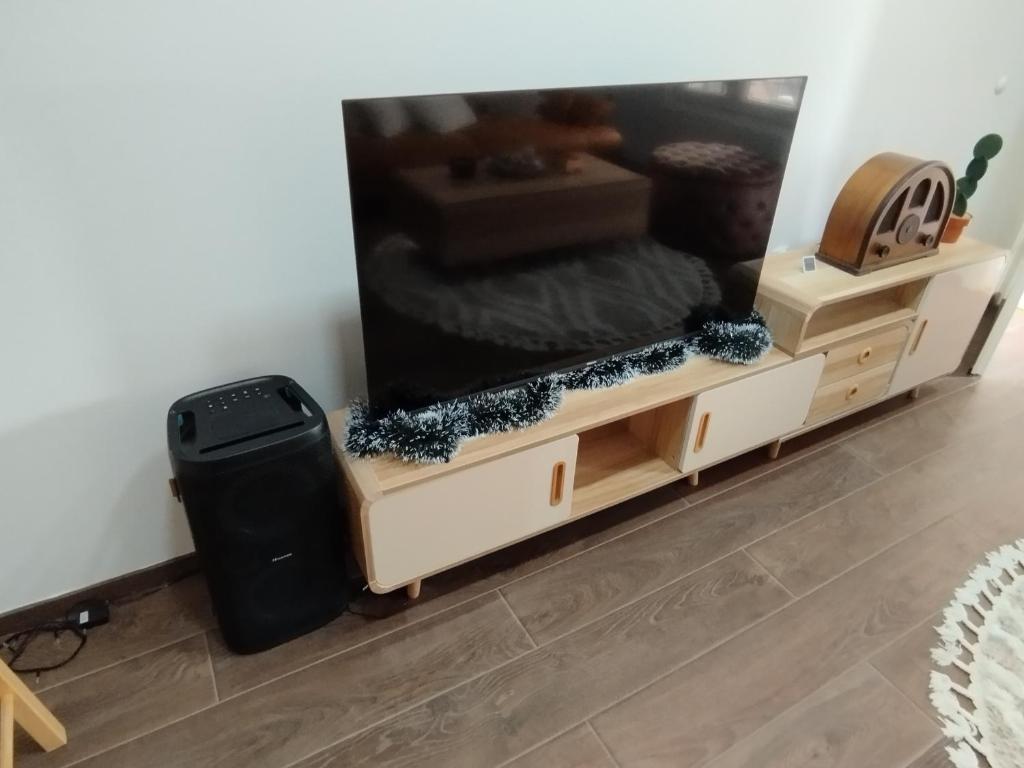 TV a/nebo společenská místnost v ubytování Kosmaj Apartmani Košutica - Marija i Ksenija
