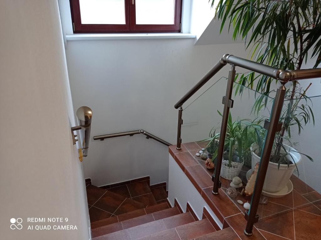 Fotografie z fotogalerie ubytování Apartmány U Orlického jezera - Kamenice v destinaci Klučenice