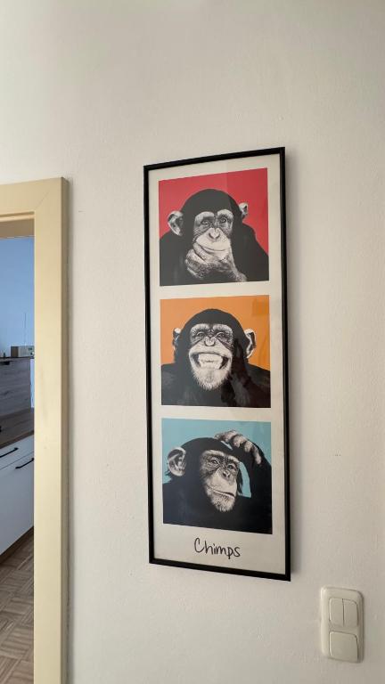 Fotografie z fotogalerie ubytování Apartment 7 im Herzen von Linz v Linci