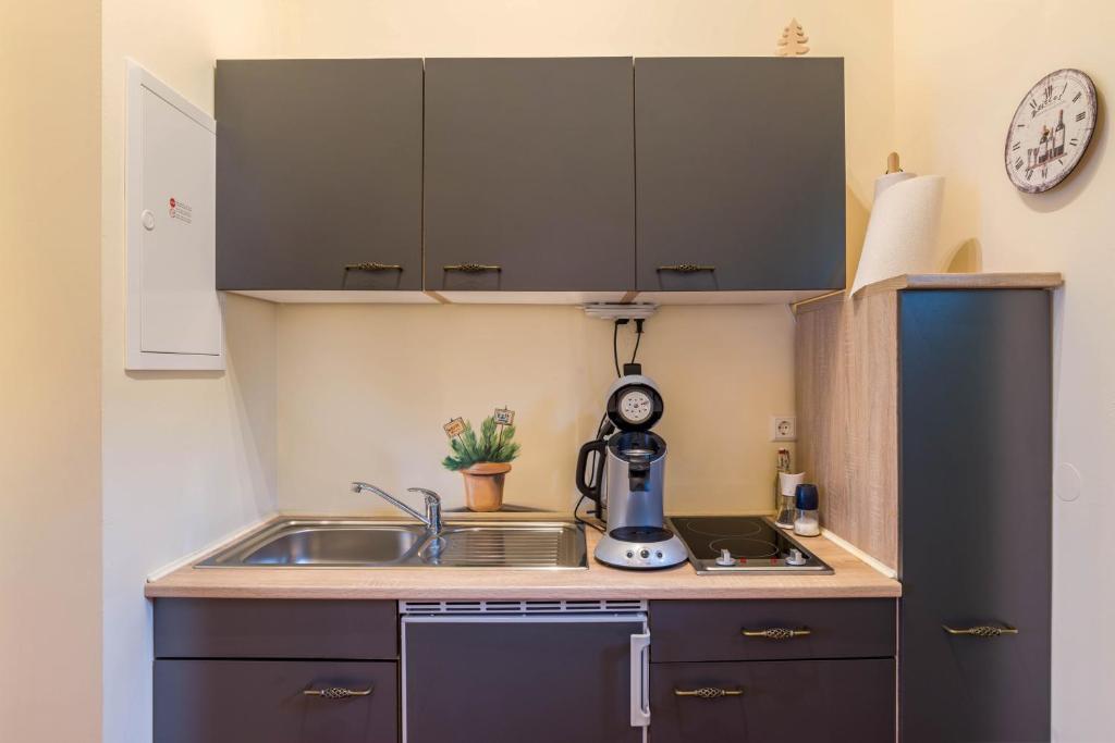 Kuchyň nebo kuchyňský kout v ubytování SCHUSTERjunge Aparthotel