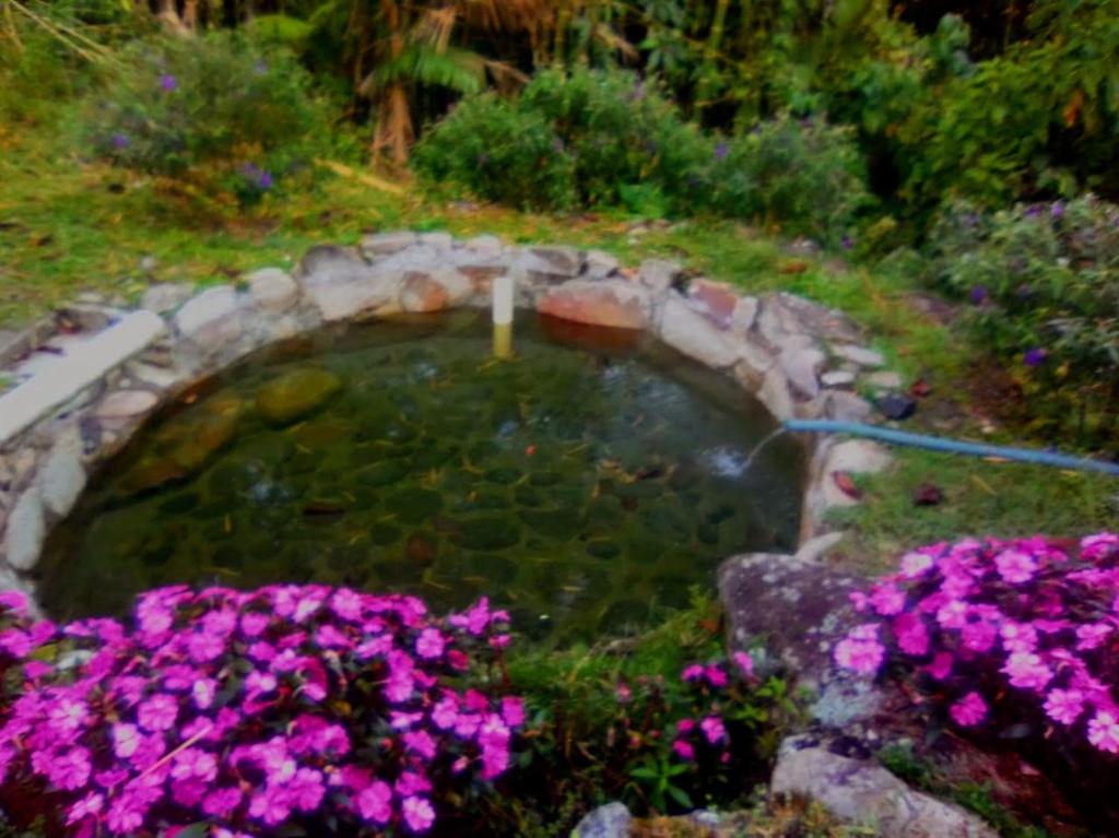 Zahrada ubytování Finca Vegonia Arqueológica