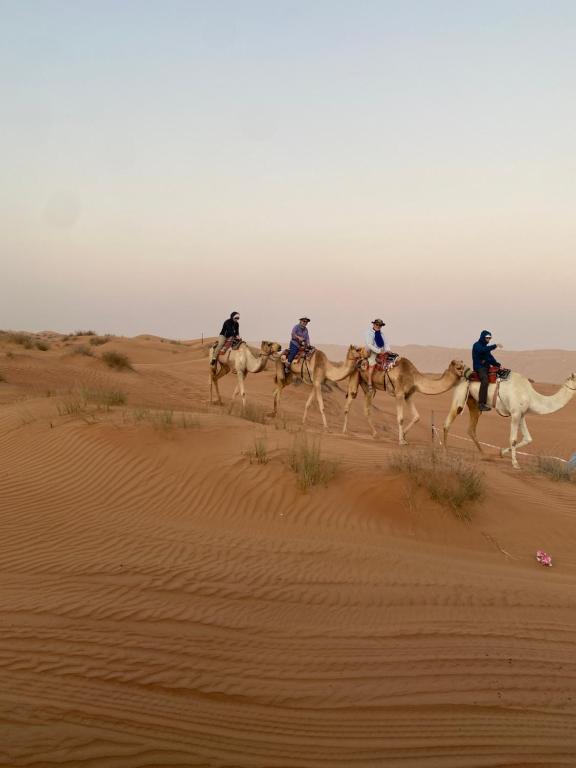 a group of people riding camels in the desert at Desert camping trips by car in Al Wāşil