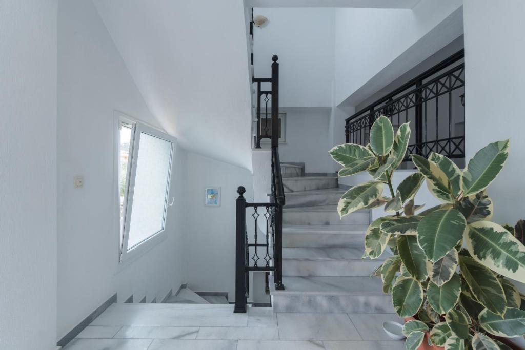 Fotografie z fotogalerie ubytování Studios Anais v destinaci Limenas
