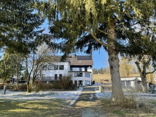 Una gran casa blanca con un árbol delante. en Appartement Welgelegen, en Bestwig