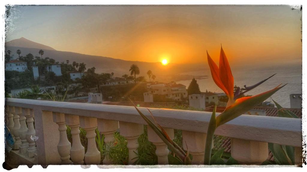 - un coucher de soleil depuis un balcon fleuri dans l'établissement Casa Alena, à Santa Úrsula