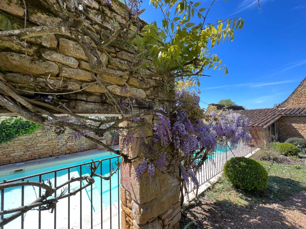 une vigne de glycérine sur un mur de pierre dans l'établissement Les Maisons d'Antan 5 étoiles, à Saint-Geniès
