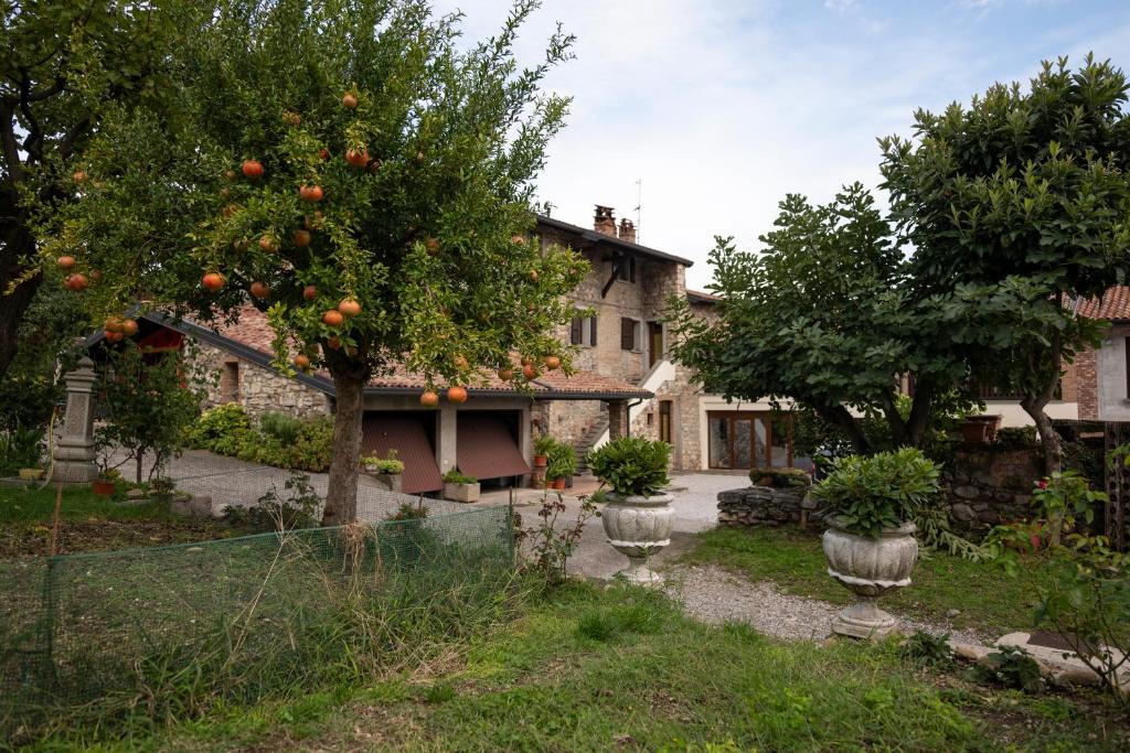 Zahrada ubytování La terrazza sulle vigne B&B