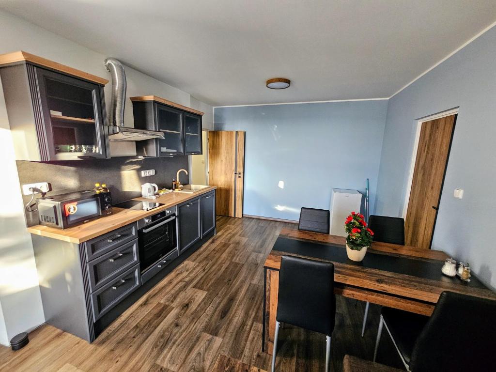 Kuchyň nebo kuchyňský kout v ubytování Apartmán Trutnov - Žižkova