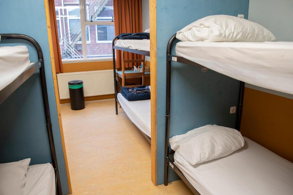 
Single Bed in Mixed Dormitory Room
