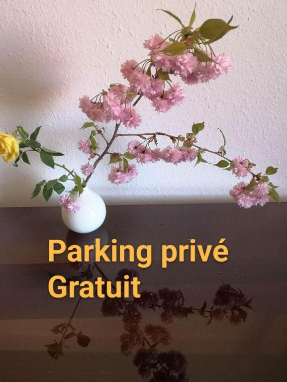un vase blanc avec des fleurs roses au plafond dans l'établissement Appartement Zen Strasbourg center avec parking, à Strasbourg