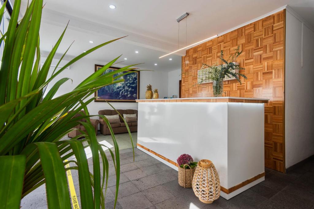 a kitchen with a white counter and some plants at Hotel São Miguel in Ponta Delgada