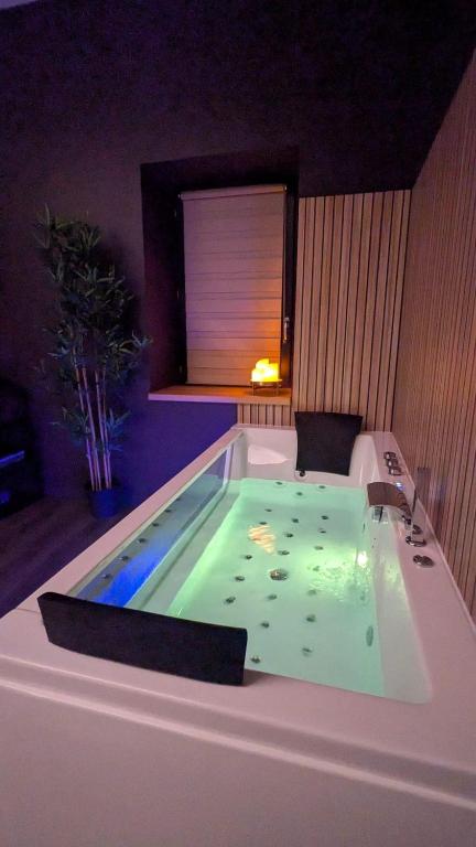 Gambar di galeri bagi Le Cocon - Love & Spa di Cébazat