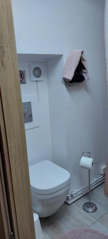 bagno con servizi igienici bianchi in camera di Bikers Paradise Olafsvik a Ólafsvík