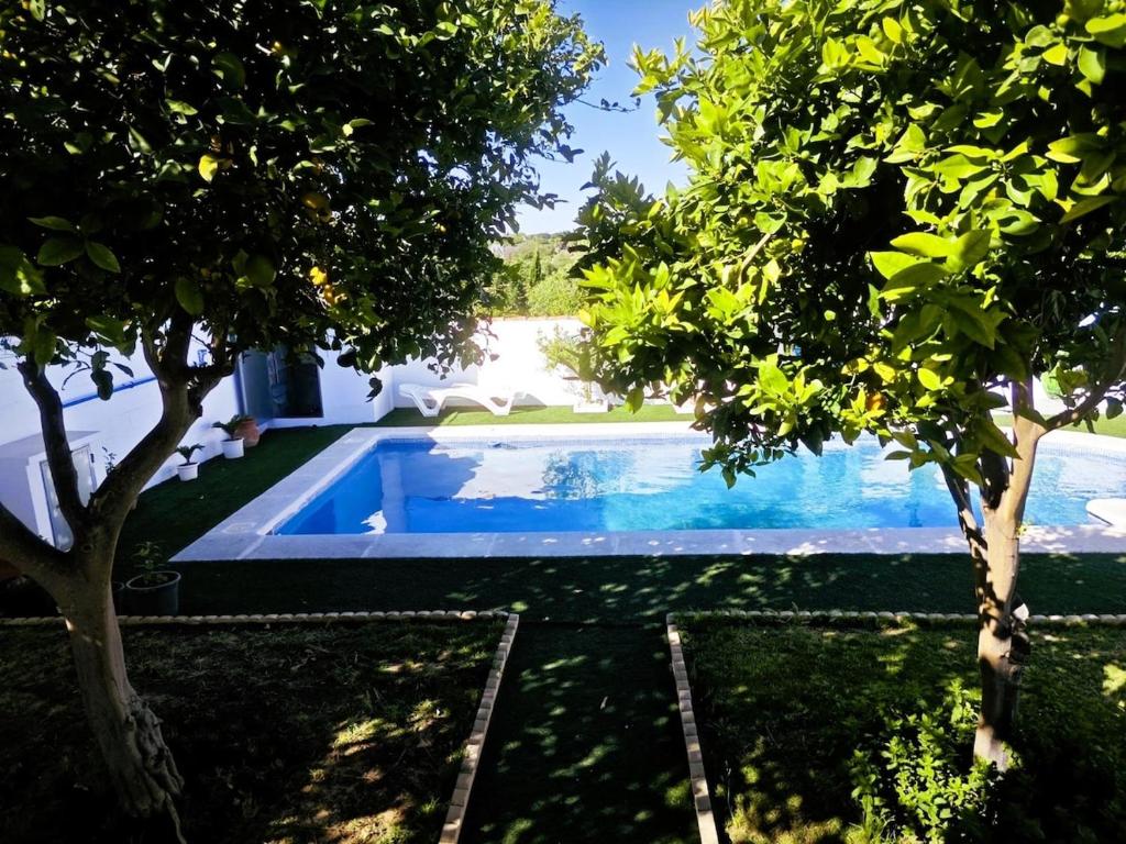 a swimming pool in the middle of a yard with trees at Chalet Familiar Relax con piscina in Chiclana de la Frontera