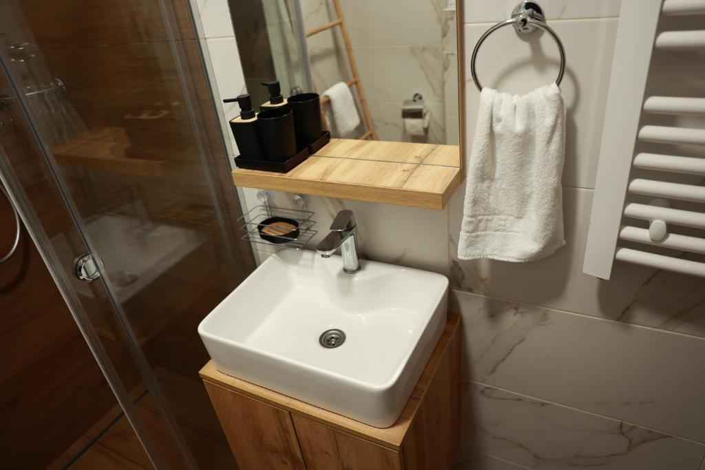 Koupelna v ubytování Apartman Borovi 15 Divčibare