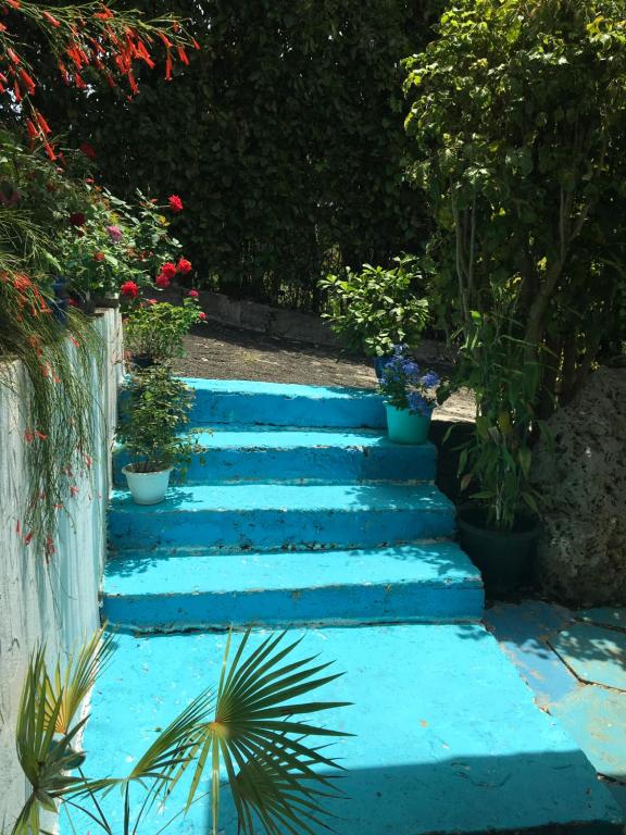 Un jardín fuera de Hotel Cap Sud Caraibes