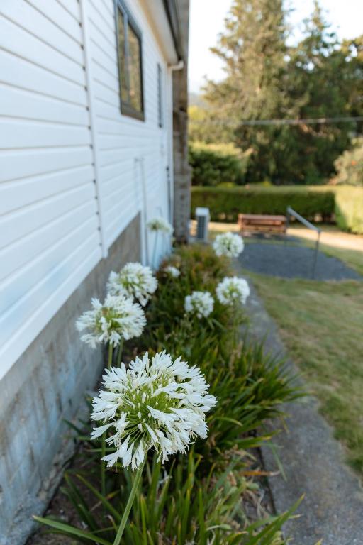 Zahrada ubytování Maydena Chalet